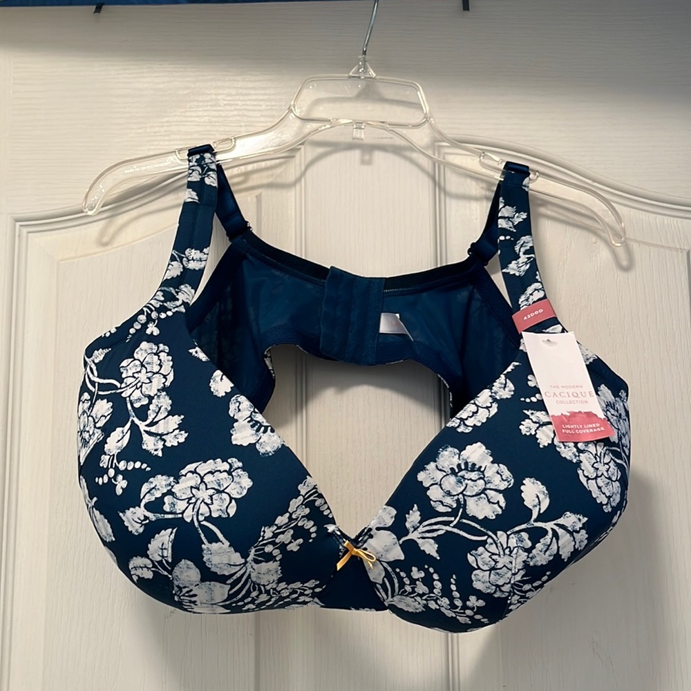 Cacique lightly lined full coverage. Blue and white.